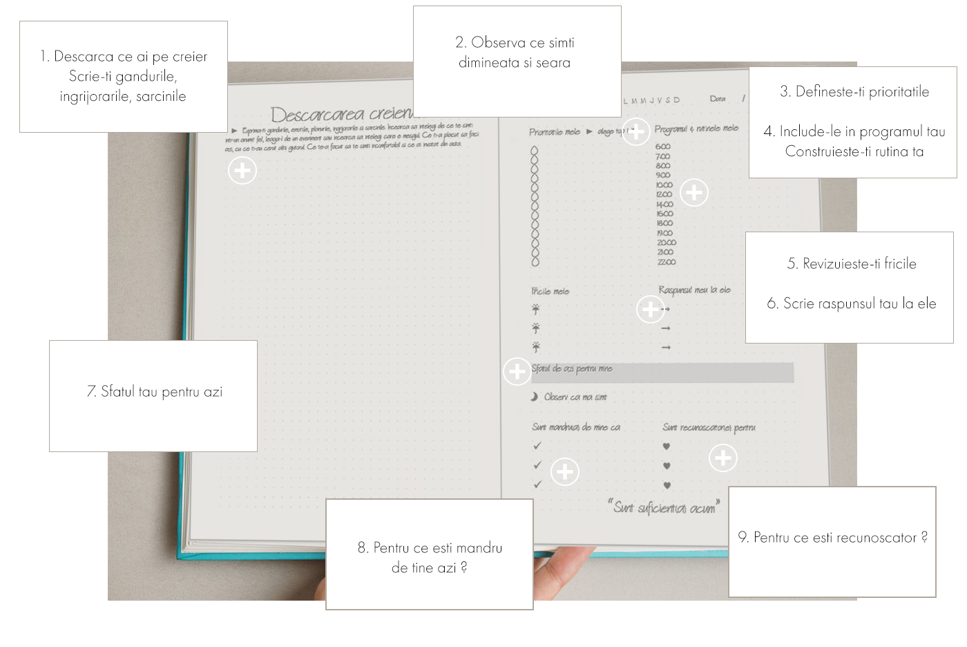 Jurnal My Way - Jurnal de autocunoastere si productivitate - A5 - română