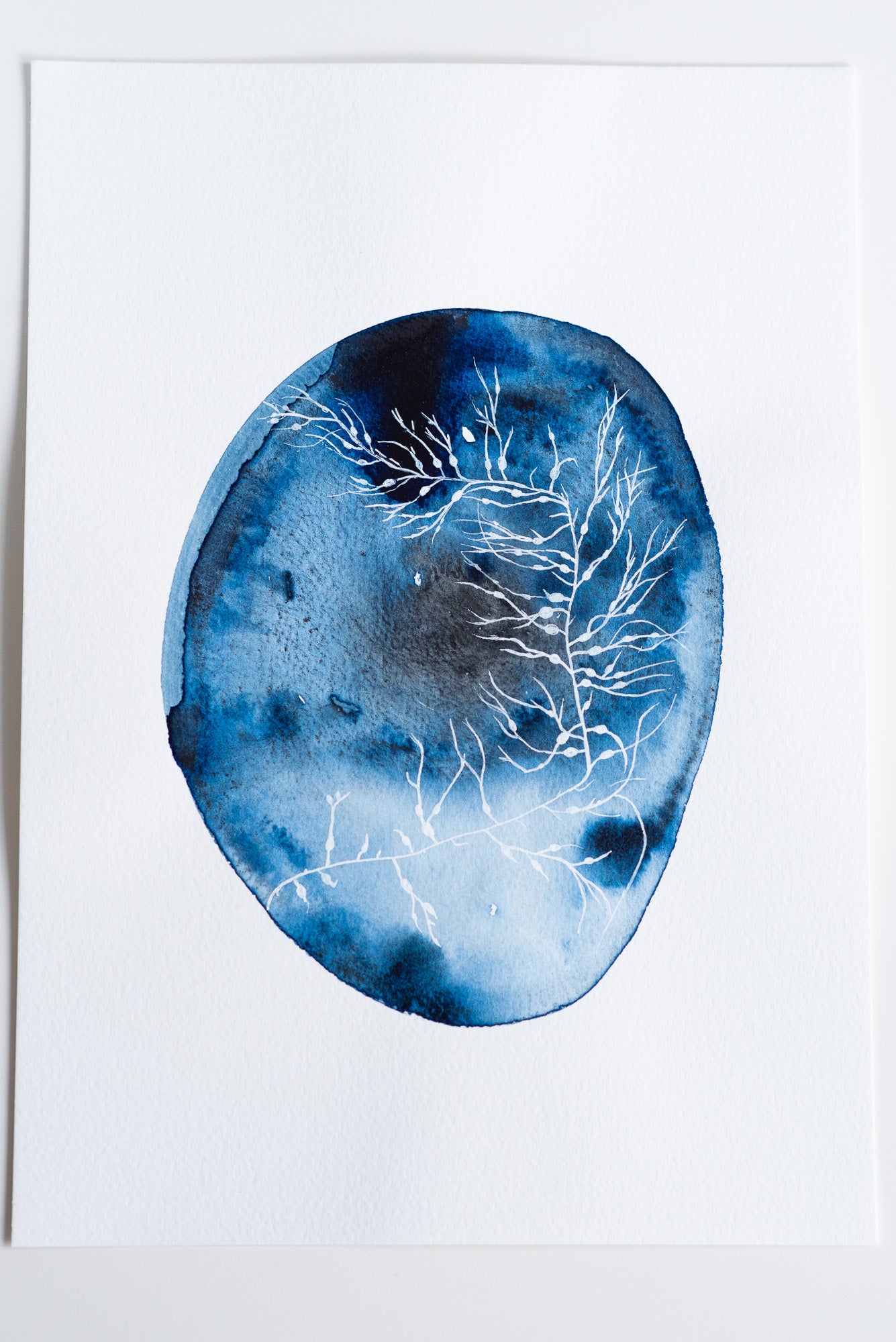 A4 Original - Plante albe indigo abstract pictură acuarelă - A101