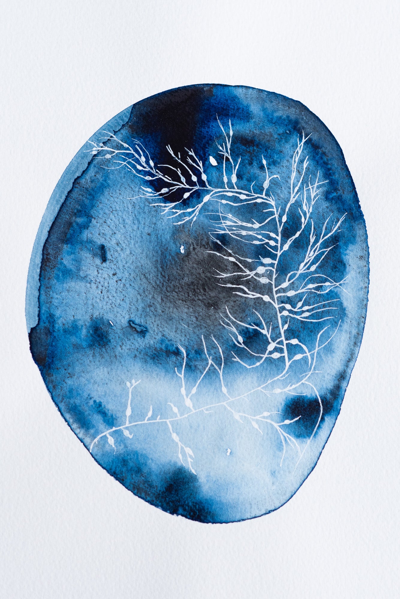 A4 Original - Plante albe indigo abstract pictură acuarelă - A101