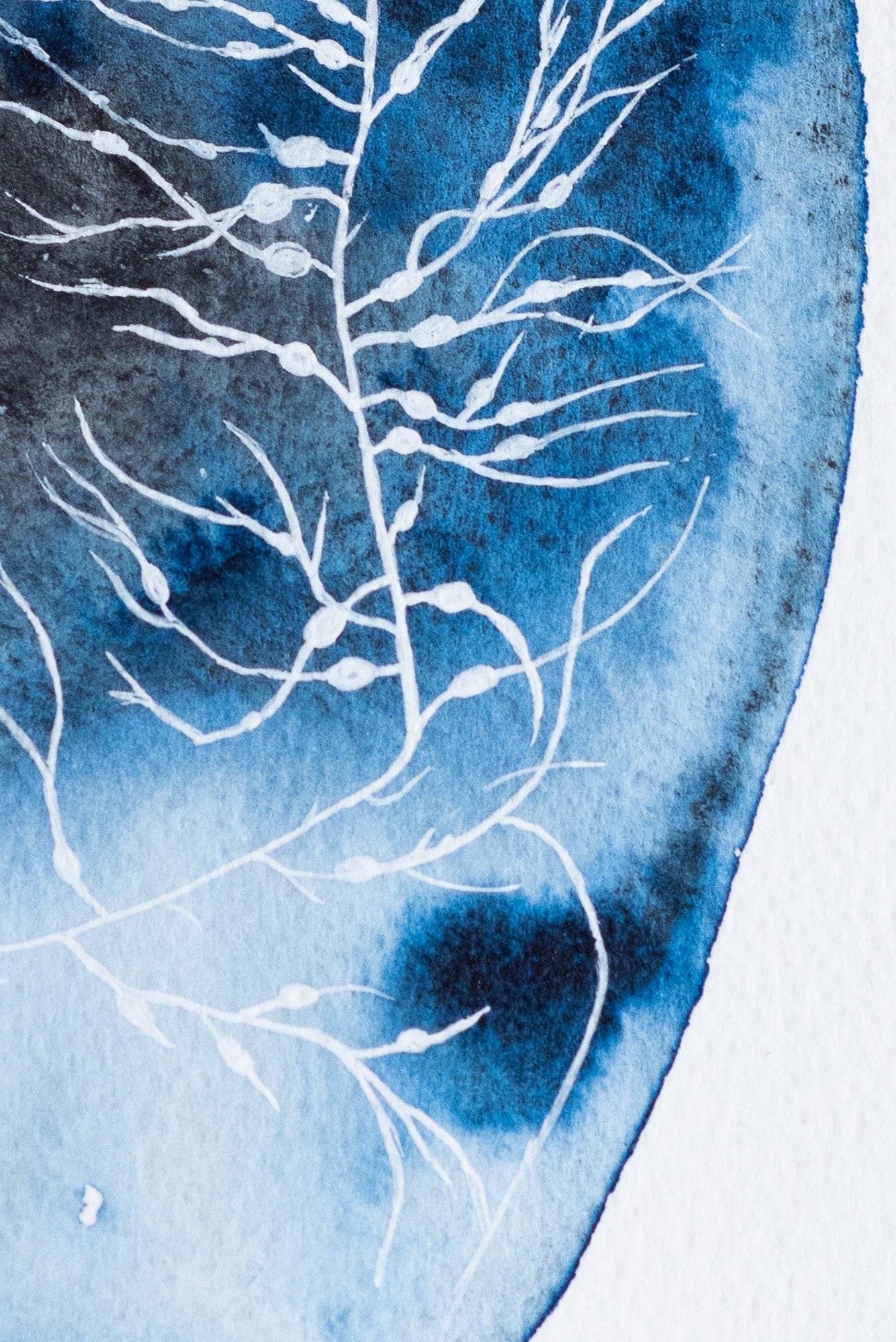 A4 Original - Plante albe indigo abstract pictură acuarelă - A101